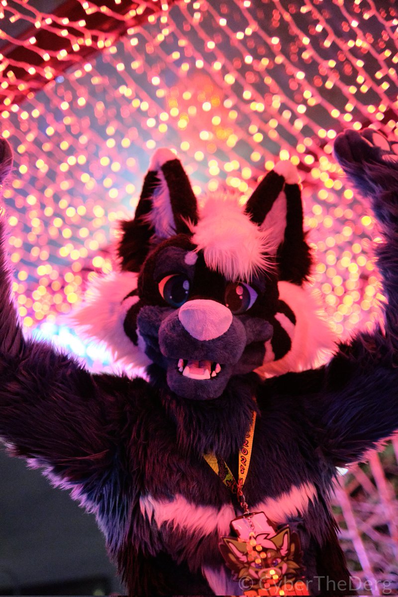 Dargo the Dragon tweet media