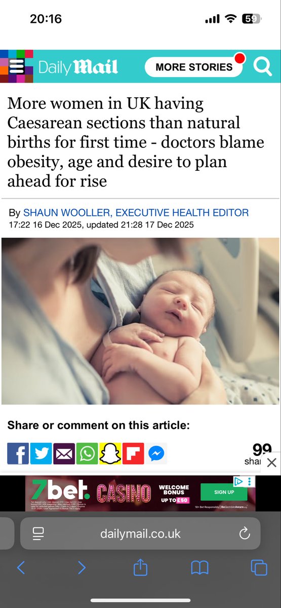 Ali Bradford tweet media