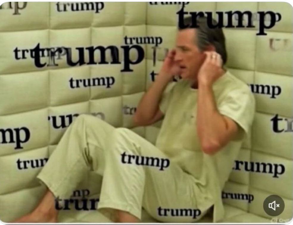 <a href="/AwesomeNewsom/">Governor Newsom Press Office (parody)</a>