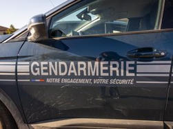 CapitaineGav tweet media