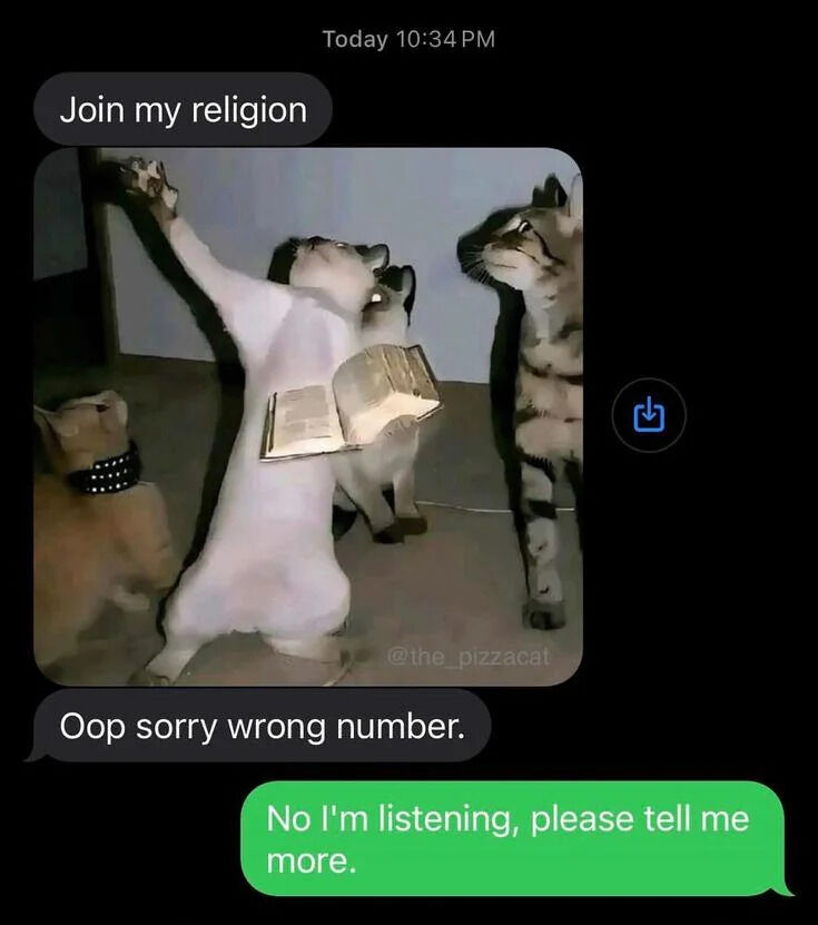 WholesomeMeme's tweet image. 