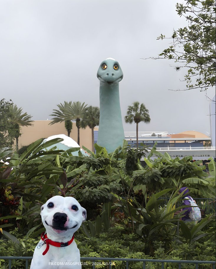 TweeetsOfDogs's tweet image. The Smile That Stole the Year 🤎😊🥹