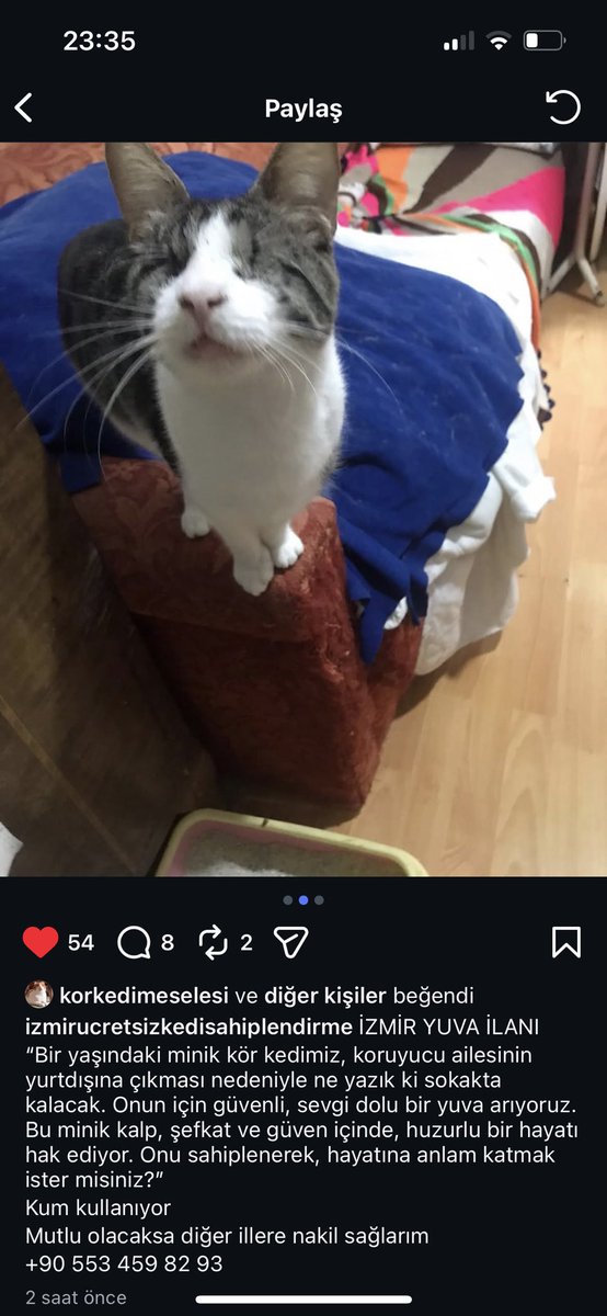 lutfen bu ilani paylasir mısınız? lutfen yuva bulalim