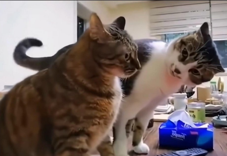 "La encuesta de empleados es 100% anonima"
El jefe al otro dia.

(ninjeado de facebook que lo encontre rebueno)