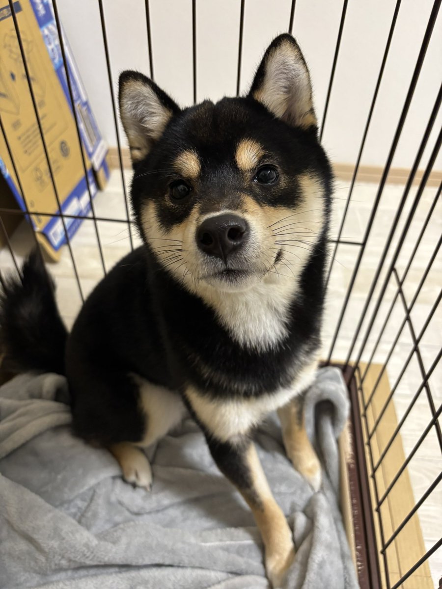 おはようございます
金曜日はじまりますよ〜
