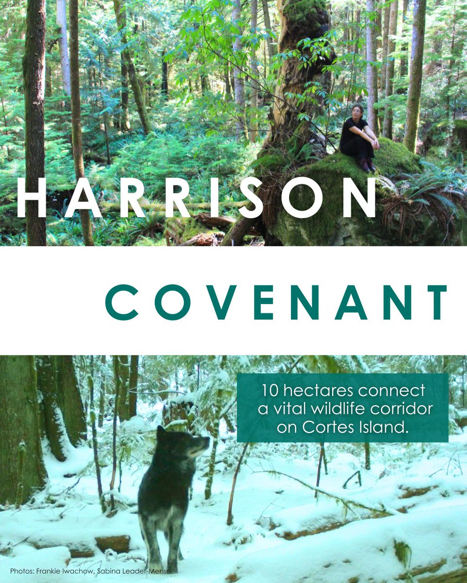 The Land Conservancy tweet media