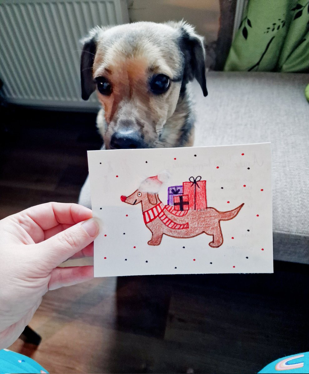 Šis ir tik mīlīgi! 🐾❤️🎄
Mums ar Konfekti prieciņš šodien pastkastē!
Liels, liels paldies <a href="/laura_simane/">Laura</a> par sveicienu!! 🎄
#tviteristuziemassvētki2025