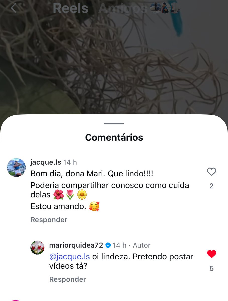 Pertodemimls's tweet photo. Uma fofa, coisa mais linda https://t.co/IT5HWoALqc