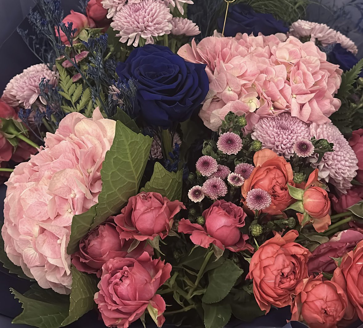 Alaa Turkistani |الاء tweet media