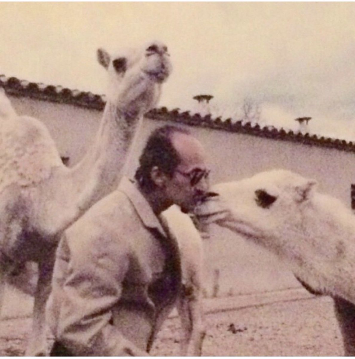 عبدالله بن سعد بن عبدالعزيز آل سعود tweet media