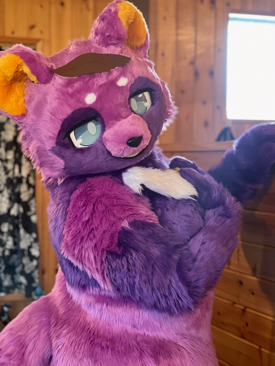 むらさきたぬき₍ᐢ⓿ᴥ⓿ᐢ₎₍ᐢ⓿ᴥ⓿ᐢ₎₍ᐢ⓿ᴥ⓿ᐢ₎