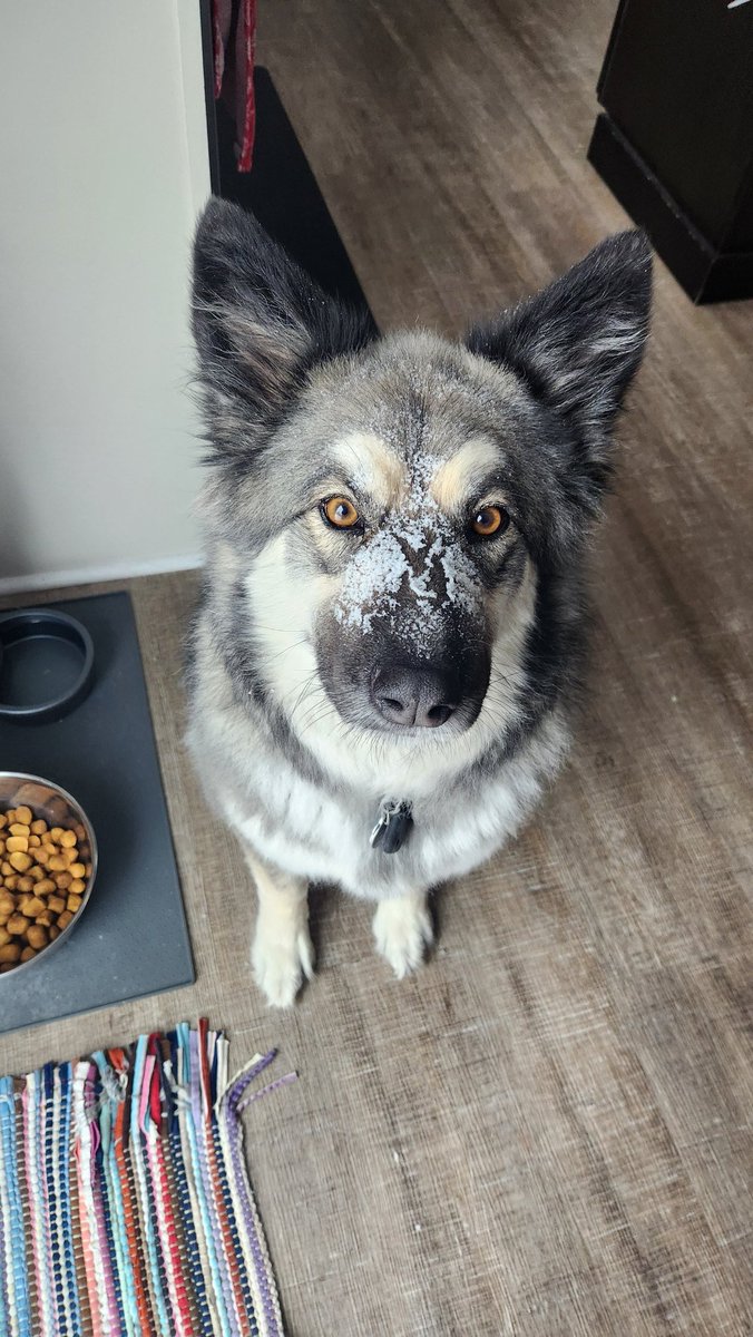 Chris Laffen tweet media