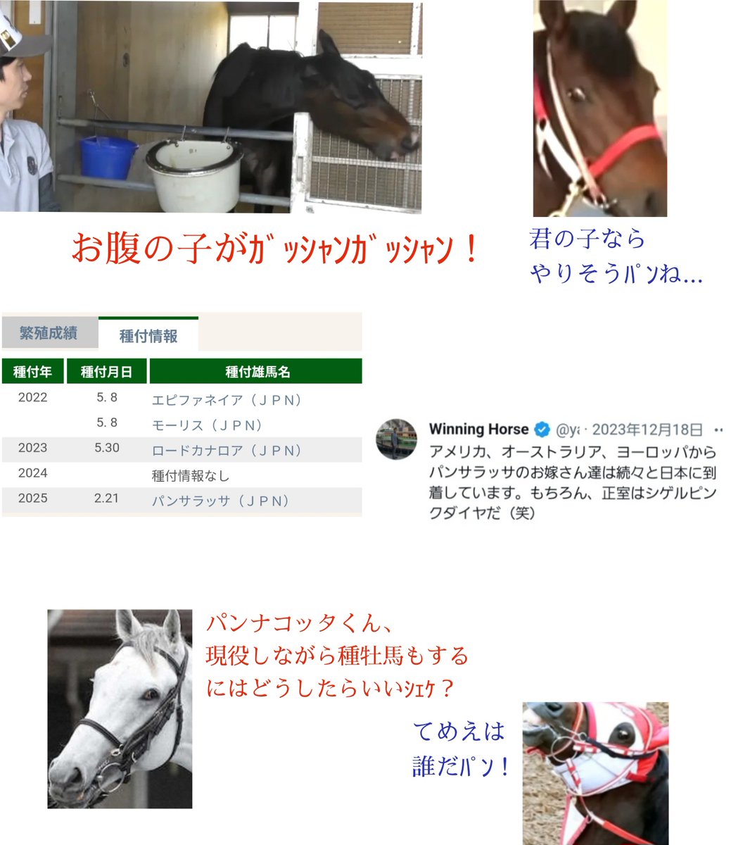 ぱんさ🐴競馬 (@keiba_pansa) / Posts and Replies / X