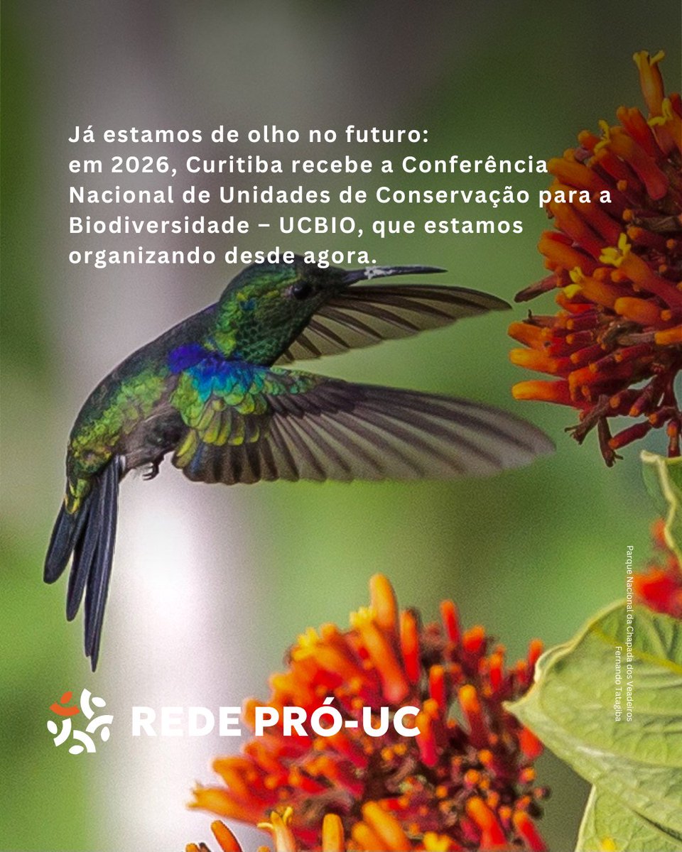 Rede Pró-UC tweet media