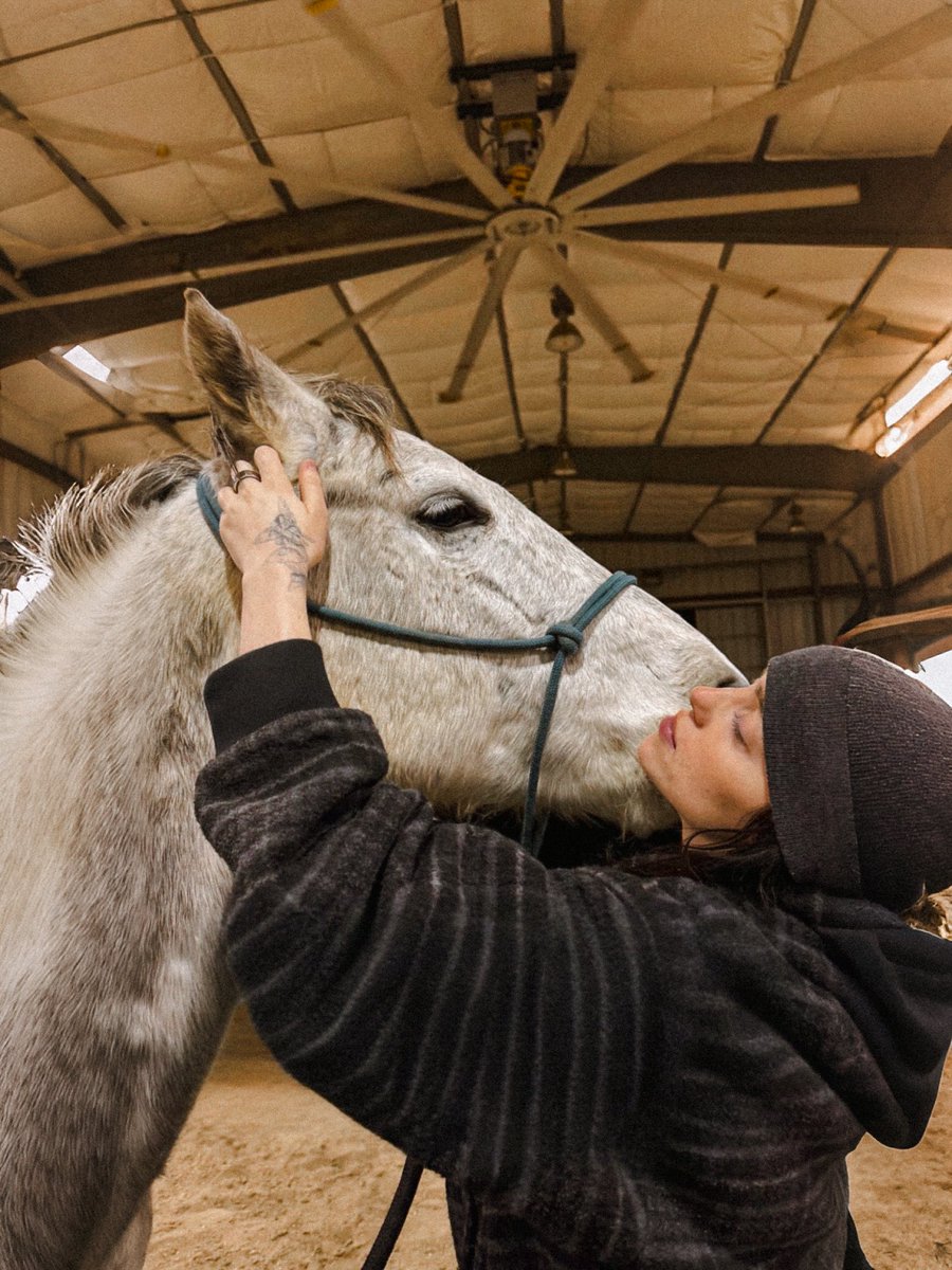 billiefilms35's tweet image. 