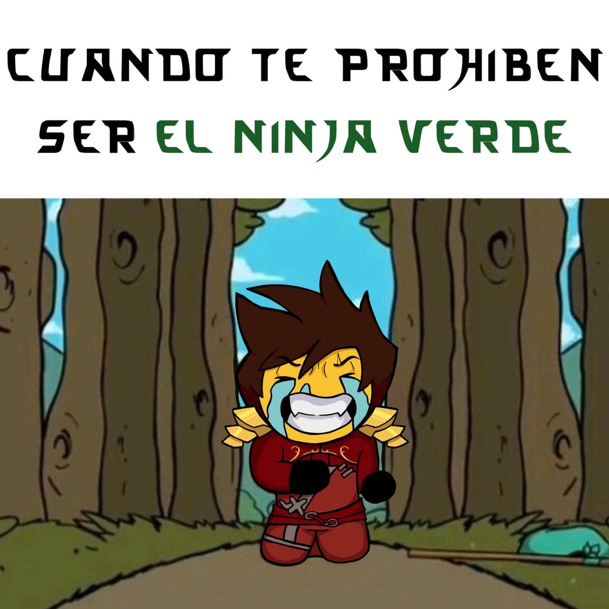 Esto es de rutina, ahora vendrá algún loquito a decir que Kai debía ser el  ninja verde, o que lo nerfearon y eligieron mal al ninja verde., image size:1200x1200