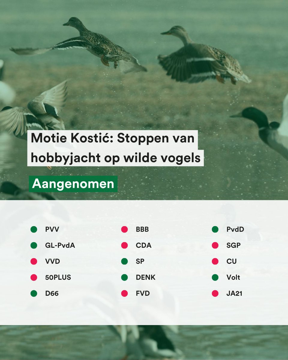 Kamer wil onmiddellijk stoppen met de verschrikkelijke jacht op wilde vogels. In heel Nederland!

Ontzettend goed nieuws voor wilde eenden, fazanten en duiven!