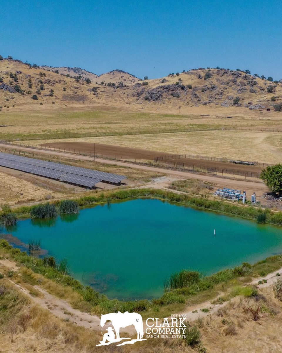ClarkCompanyRRE's tweet photo. 🌱 101 acres planted (avocados, olives, Cara Cara and Navel oranges)
🐄 65 acres used for a year-round cow-calf herd
🔆 Six banks of solar panels powering well pumps
💧 Water from a stock pond and four irrigation wells

https://t.co/GkLK9i4xIF https://t.co/mJHked4KAR