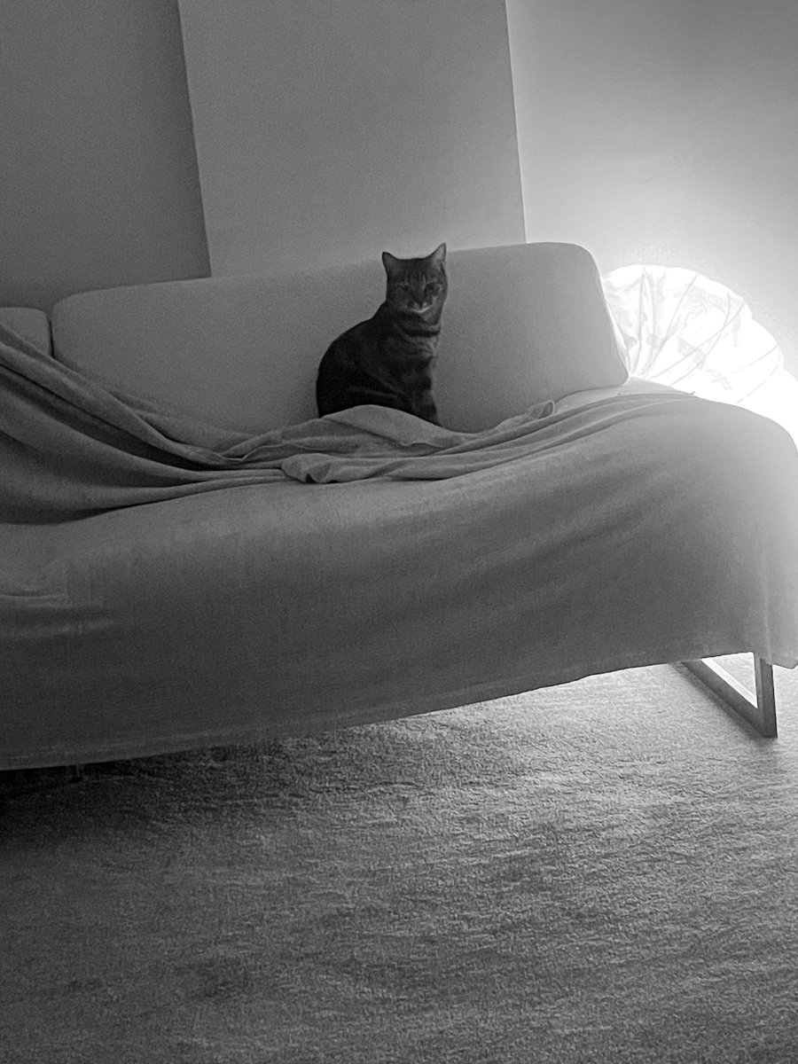 Hanfendi sabahtır uyuyor,şimdi uyandı