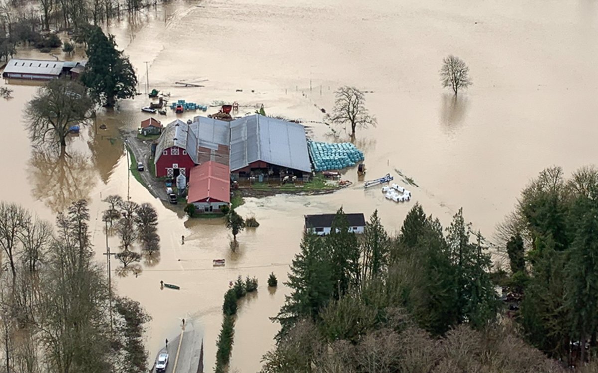 Nation Just Kinda Assumed Pacific Northwest Always Lived in Giant Puddle Like That: tinyurl.com/bdh393s4