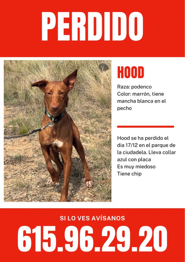 Mis vecinos han perdido a su amigo en el Parc de la Ciutadella, en Barcelona.
Si sabéis algo, avisadles, por favor.
Encontremos a HOOD(JUT)!
❤️🐶❤️