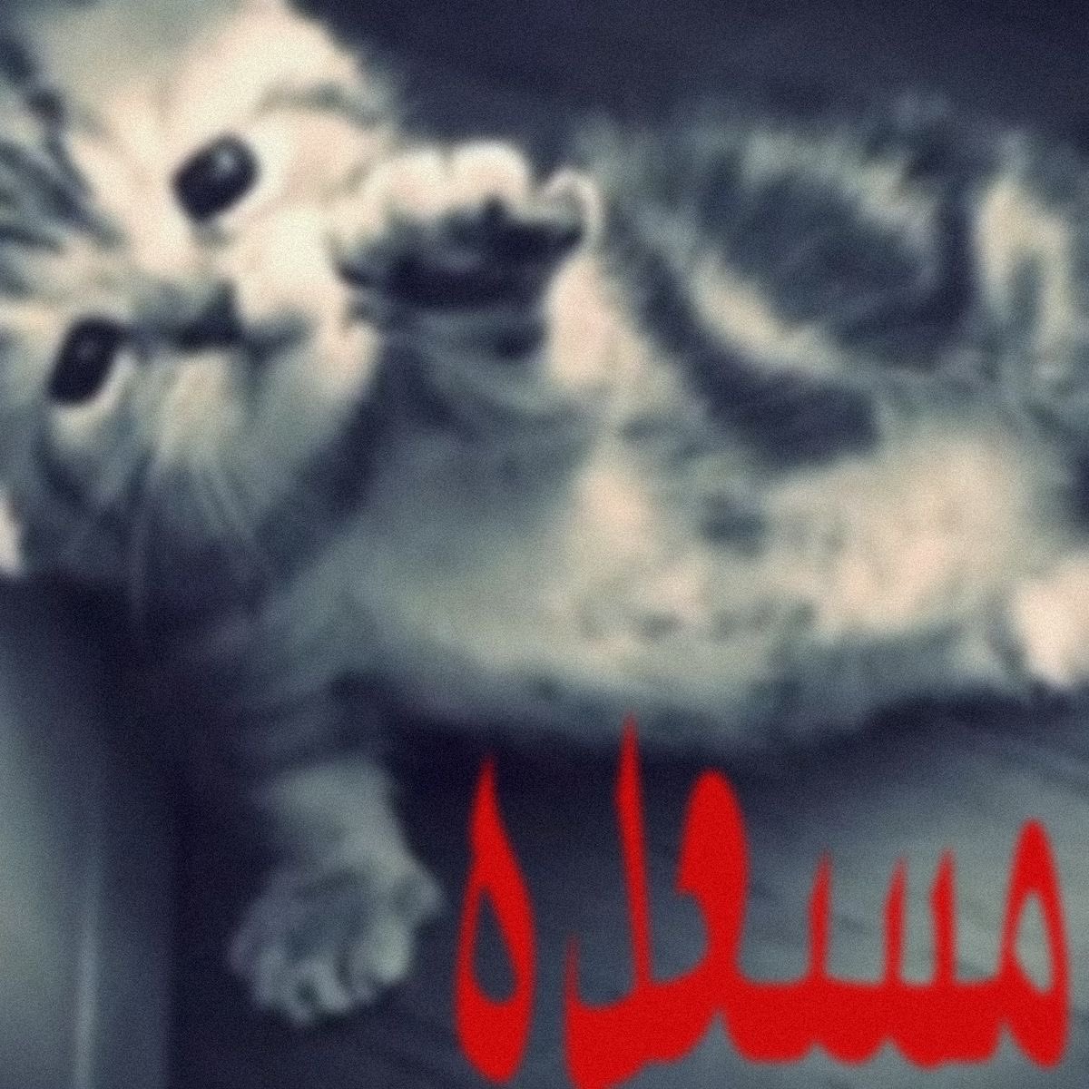 ABDULELAH tweet media