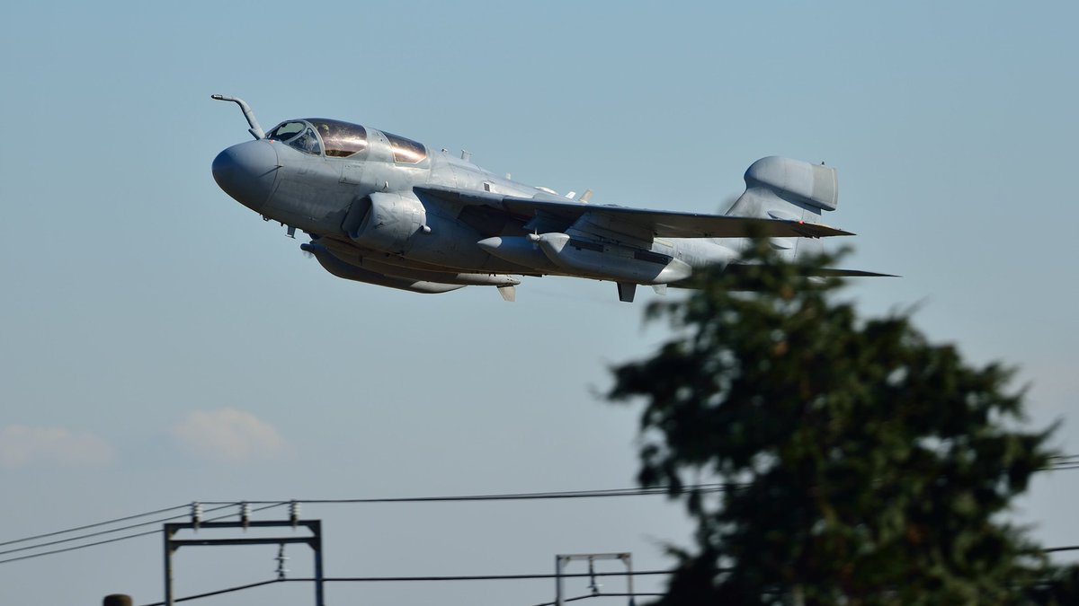 カメちゃん (@kame_cvw_5) / Posts / X