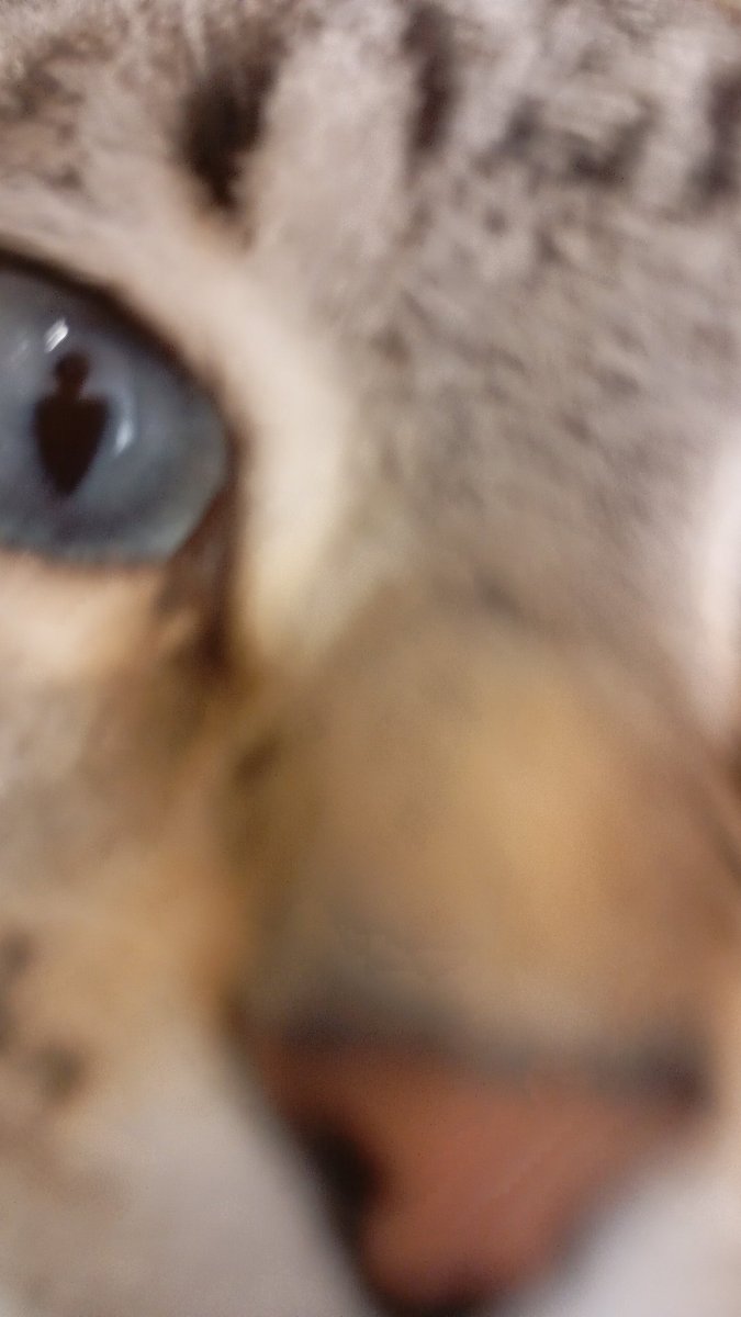 Wahwo0ømp ๋࣭ ⭑ tweet media