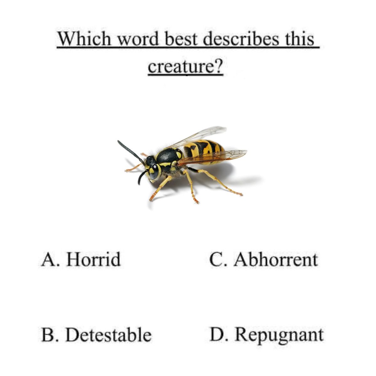 WWaltuhh's tweet image. 