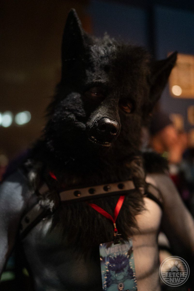 ZEBRAcakesSUPREME. DadMode, ZILF, VAXED! tweet media