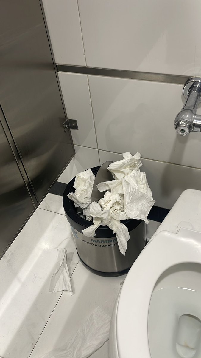 Paola Basurto tweet media