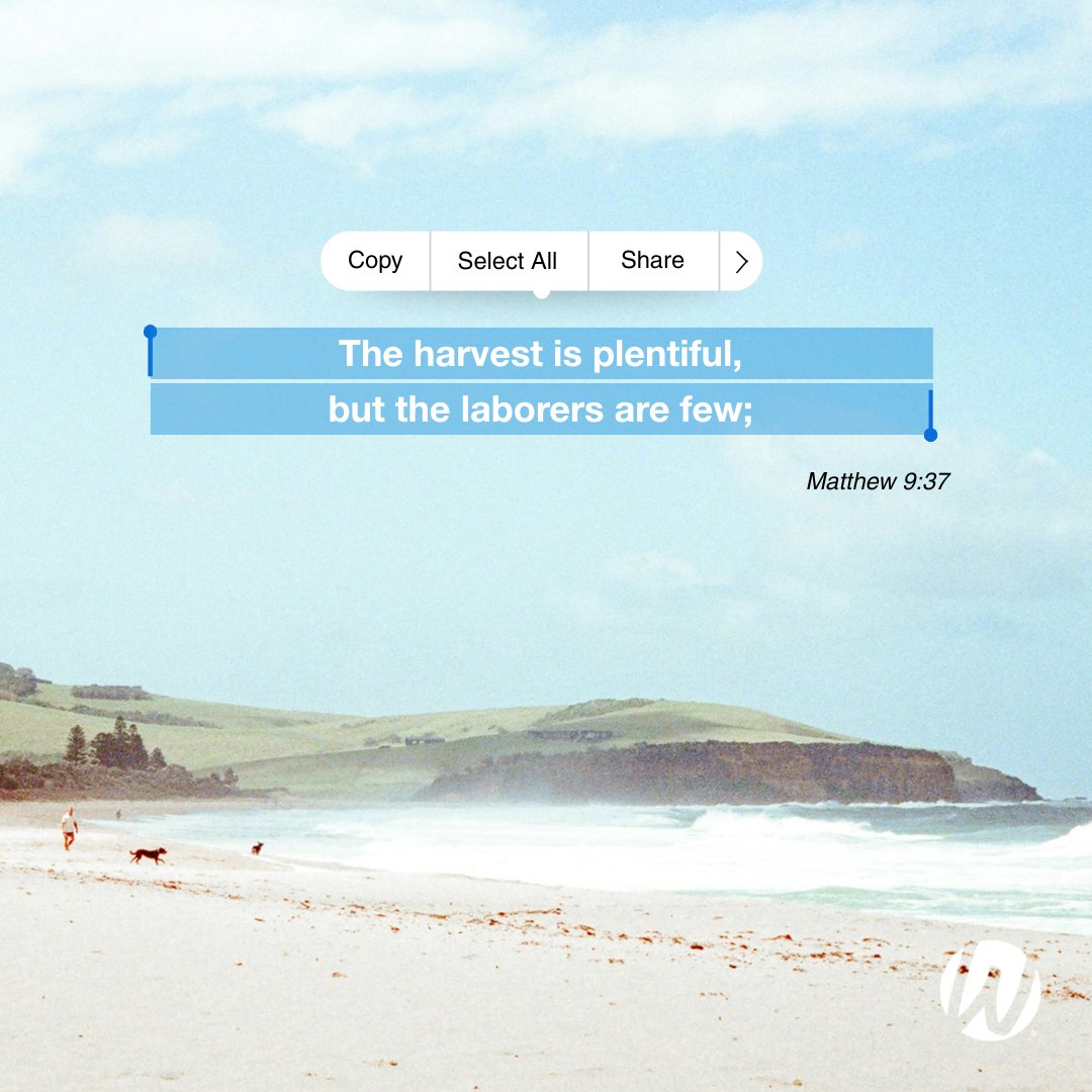 wordoflife's tweet photo. "Then he said to his disciples, 'The harvest is plentiful, but the laborers are few;'"

Want to build the habit of spending time in the Word? Grab the Word of Life Quiet Time at https://t.co/C2jIi9jvng https://t.co/q3FzestbVw
