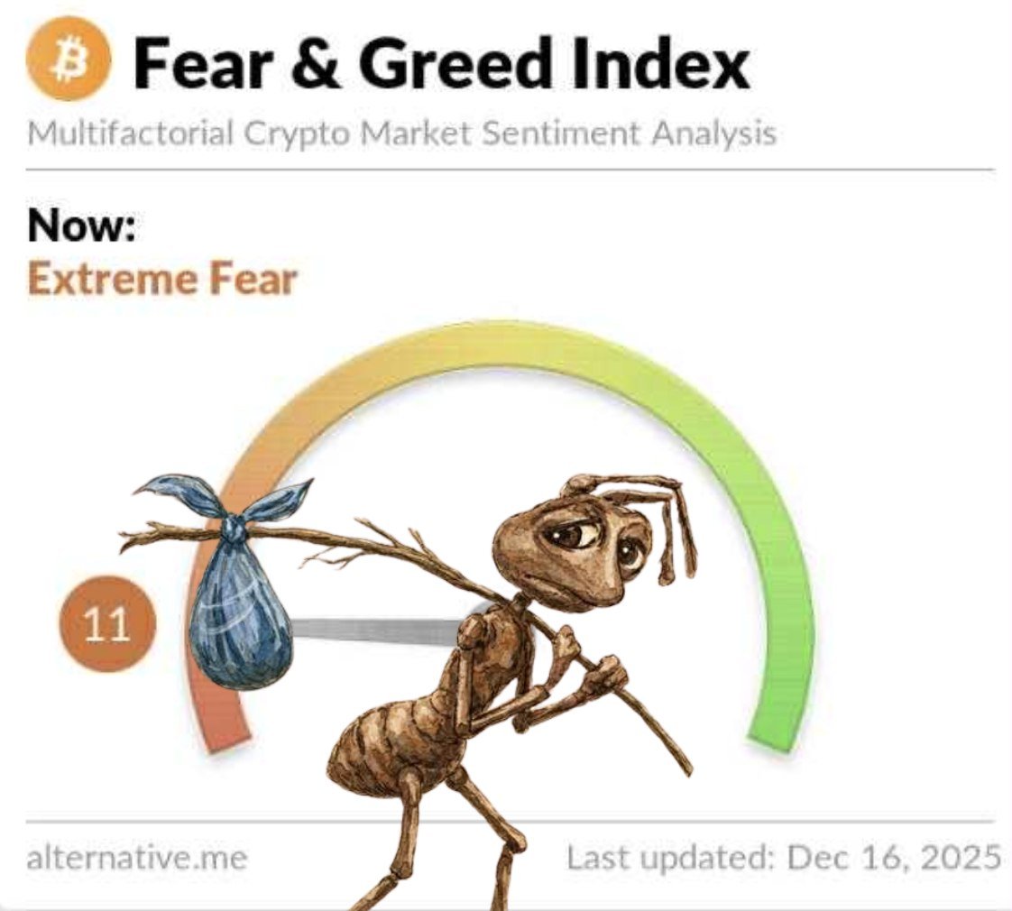 CryptAntSol's tweet image. How it feels...
$Ant