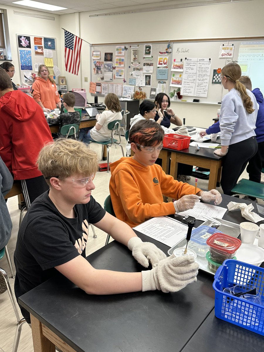 Amanda Deibert tweet media