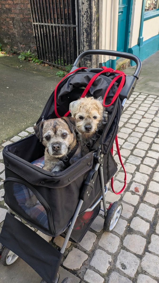 Feelwells Official Dodger & Hudson tweet media