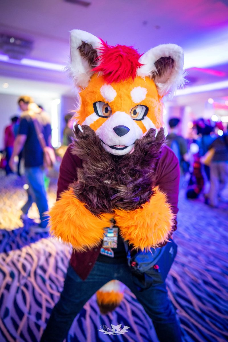 RenPanda ➡️ IWAG 2026 tweet media