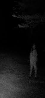 KaptainKrunch97's tweet image. woods day raids: camping trip with the boys, shturman farming, shooter born in heaven

woods night raids: