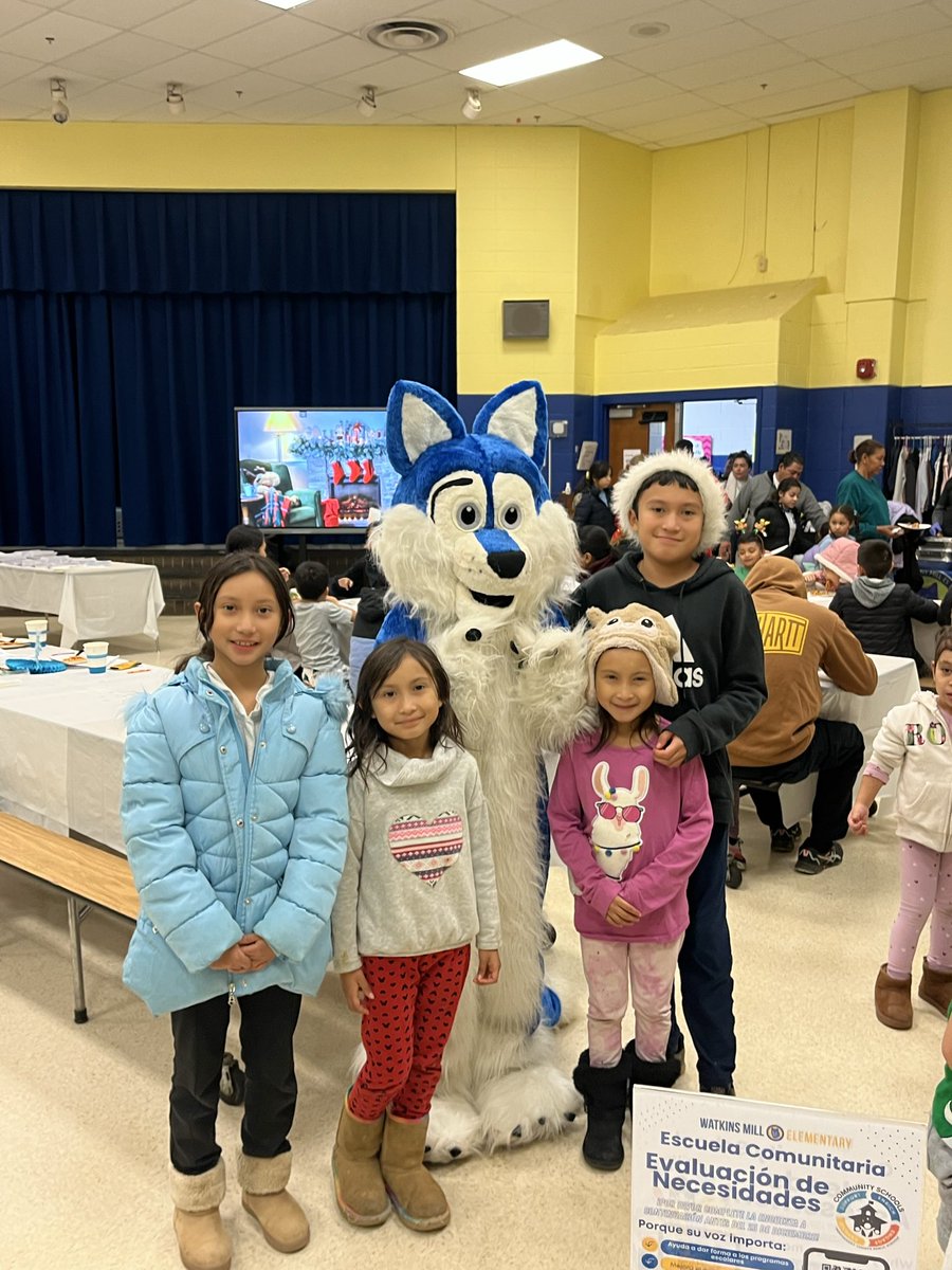 Elisabeth Halici tweet media