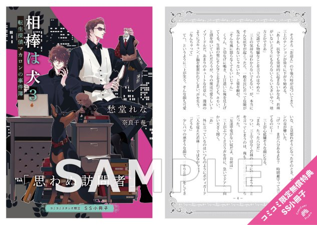 ✫長十郎さま専用✫レディコミ23冊 槌屋ヤック株式会社