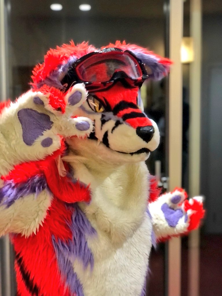 Say Peace!!

#FursuitFriday #シャキシャキレタス #犬工房