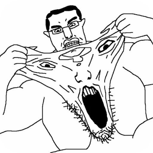 Beaver 🦁 tweet media