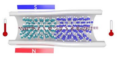 電気電子工学系 三浦良雄 教授らの研究グループは、磁気冷凍材料の冷却能力と安定性を両立する材料設計手法を確立しました。

詳細は下記URLからご覧ください。
kit.ac.jp/2025/12/news25…