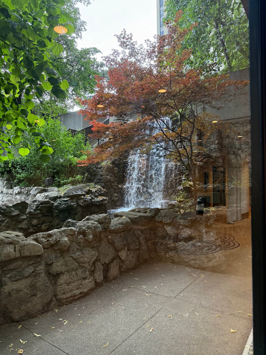 Jason (chesto) tweet media