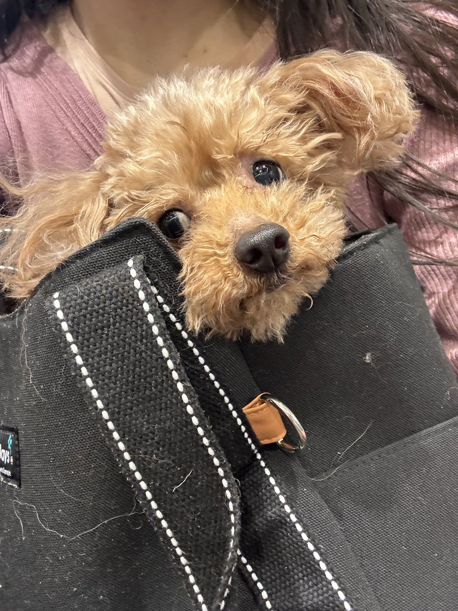 さーたん (@satan2319) / Posts / X