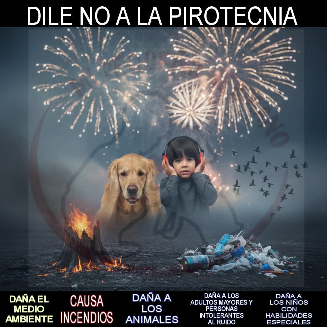 ✨🚫 NO A LA PIROTECNIA 🚫✨

"Detrás de cada estallido, hay alguien sufriendo." 🚫🎆
➡️ La pirotecnia no es una fiesta para todos. El ruido extremo causa una crisis de #Ansiedad en personas con autismo y sensibilidad auditiva, aterroriza a nuestras mascotas y daña gravemente