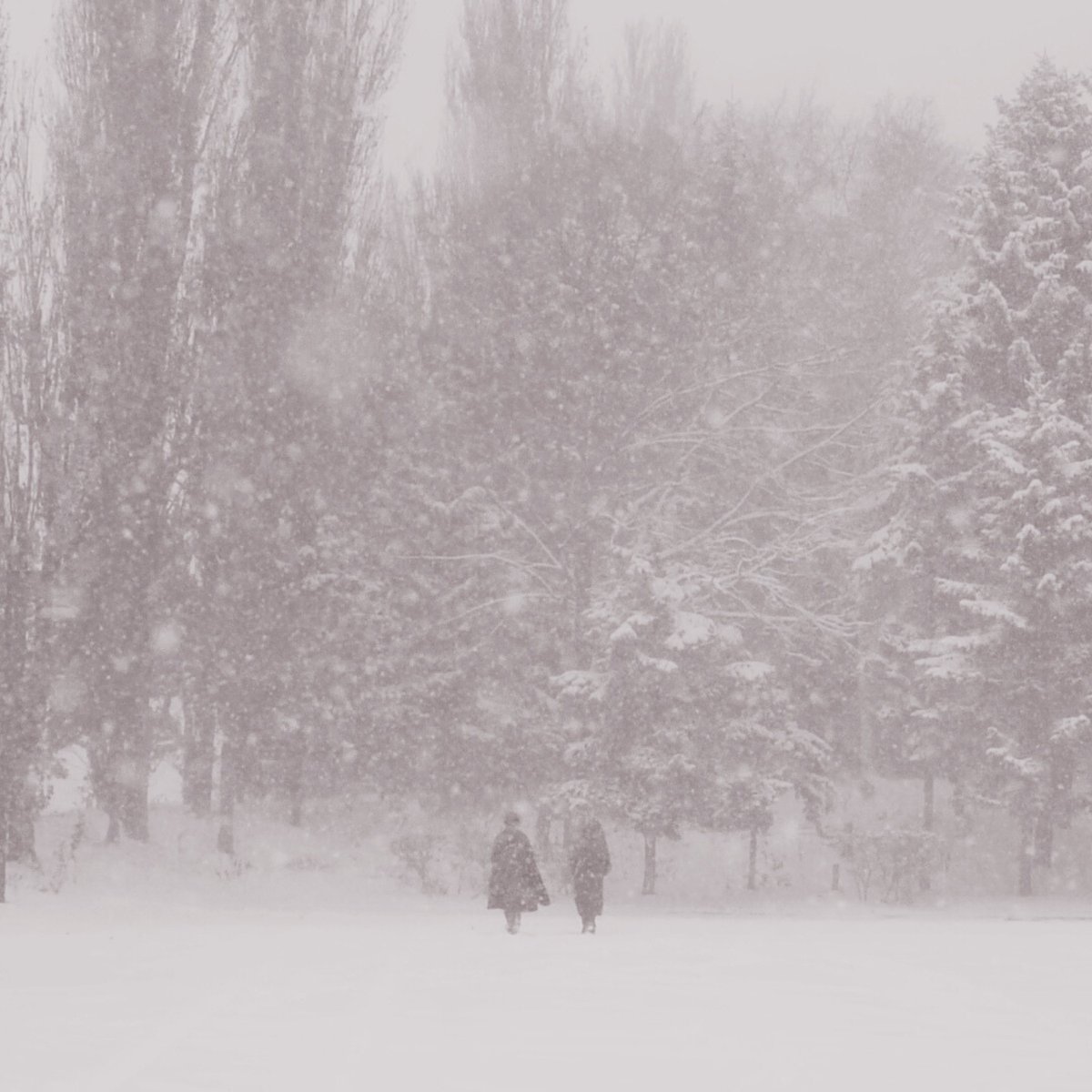 Hideyuki Hashimoto tweet media