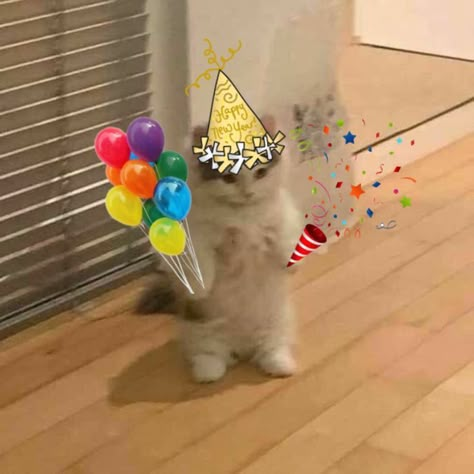 MizuUkiyo's tweet photo. Hoy no es mi cumpleaños, me saludas? 

https://t.co/JKWEfVXQhf
https://t.co/JKWEfVXQhf
https://t.co/JKWEfVXQhf https://t.co/K82VMRktHF