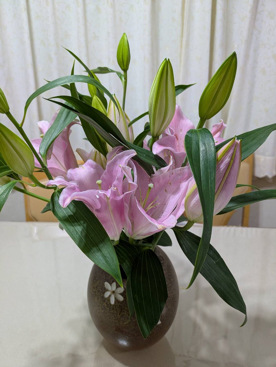 73mama51's tweet photo. 幸せだとおもおませんか？🥰😄。
誕生日に主人から百合の花をもらいました。毎年変わらず百合の花。その「変わらない想い」が何より嬉しいです。
「誕生日おめでとう。いつも笑顔で迎えてくれてありがとう。これからもずっと愛していくよ」
その言葉と花に、今年も心が満たさ幸せです🌸❤️
ありがとう😍 https://t.co/BRuh2hl2O5