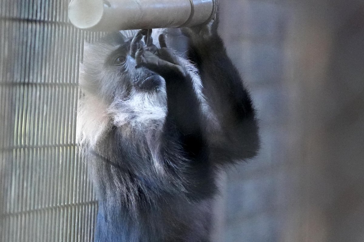 さっちゃん (@Sacchan31) / Posts / X