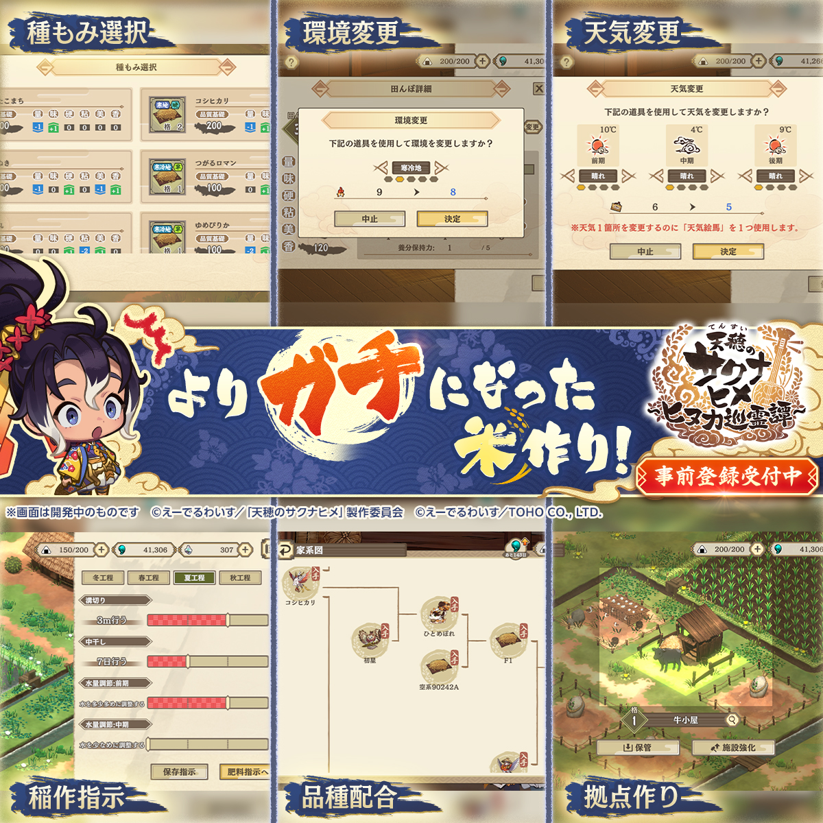 蘭ひまわり🌻 (@Sun88Flower32) / Posts / X